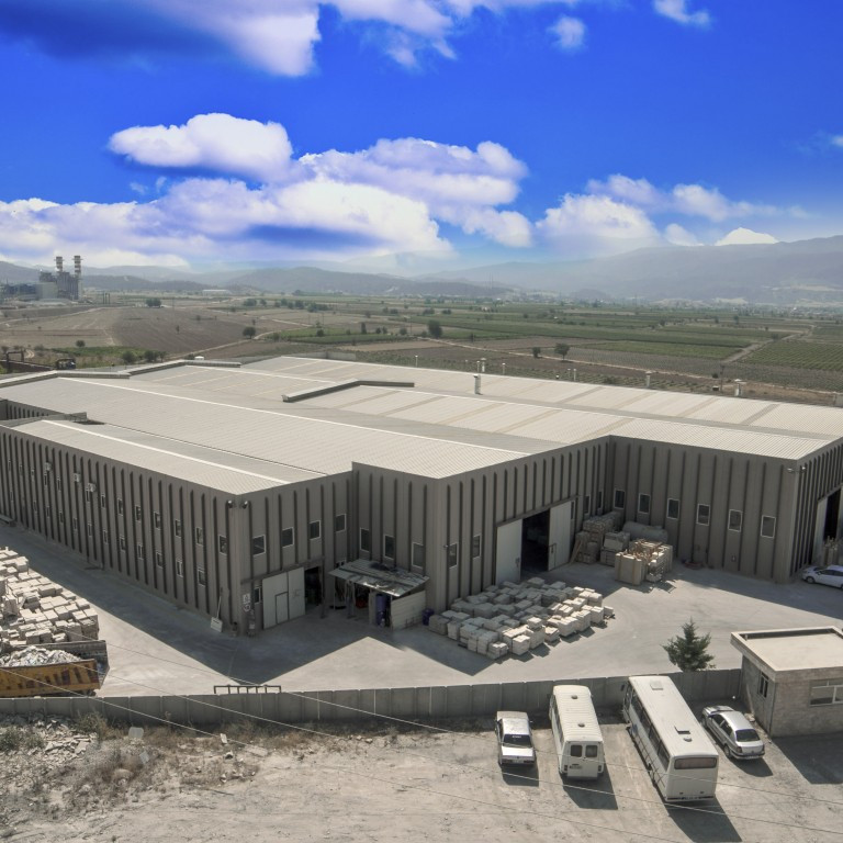 Akademi Stone-Plant